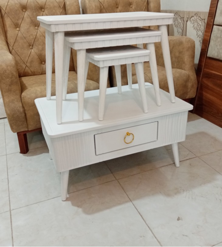 گروه تولیدی افوربیا چوب در مرند